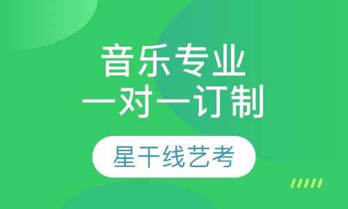 音乐专业一对一订制班