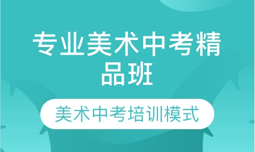 专业美术中考精品班