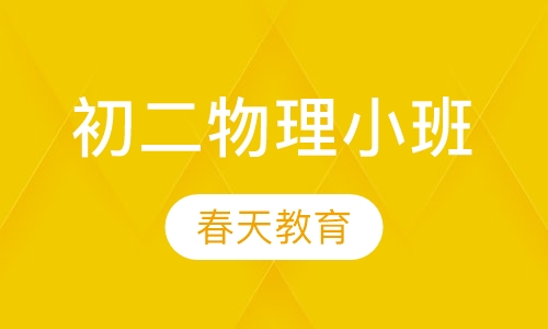 八年级(初二)物理小班辅导课程