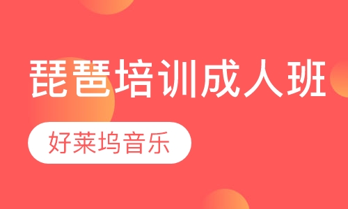 琵琶培训成人班