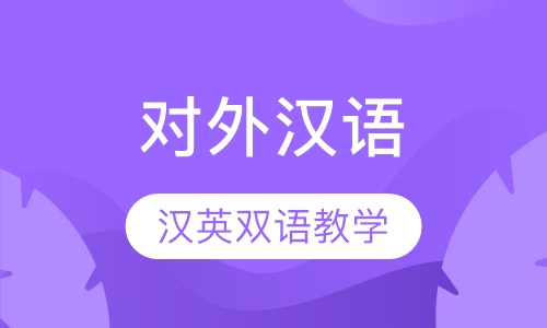 对外汉语课堂教学法