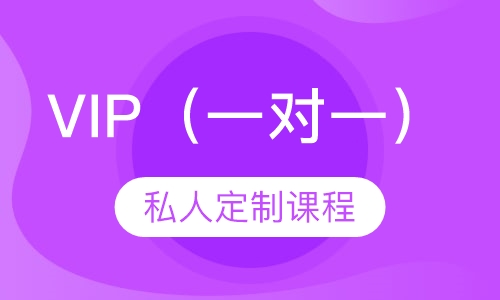 VIP（一对一）