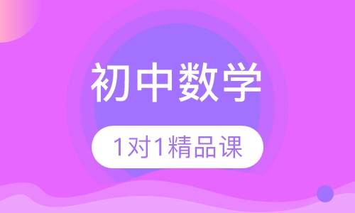 初中数学1对1VIP精品课程