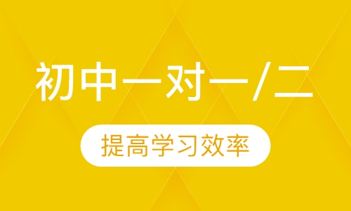 初中一对一/二