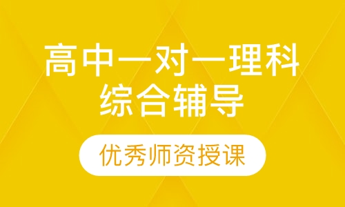 高中一对一理科综合辅导