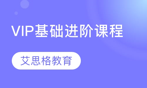 VIP基础进阶课程