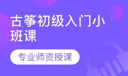 古筝初级入门小班课