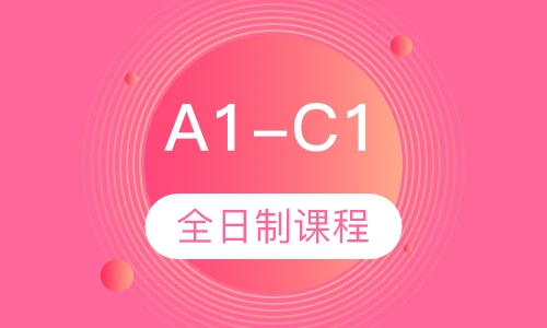 A1-C1全日制课程