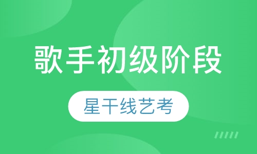 小星星歌手初级阶段