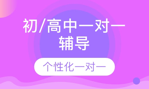 郑州初/高中一对一辅导