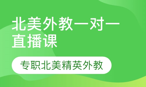 直播课北美外教一对一直播课
