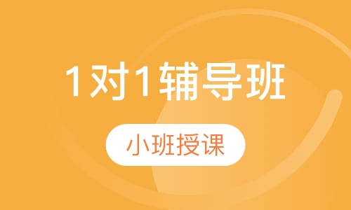 1对1辅导班
