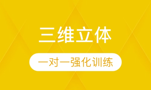 三维立体一对一强化训练