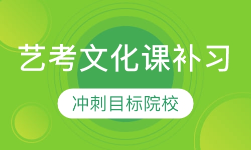 艺考生文化课补习