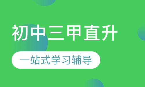 初中三甲直升课程