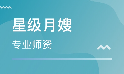 星级月嫂
