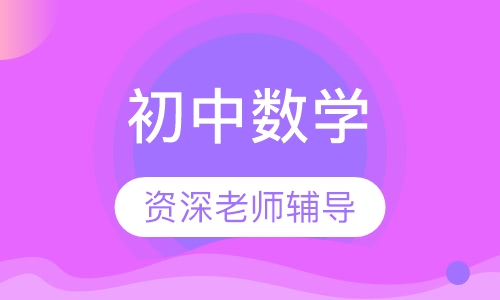 初中数学一对一辅导