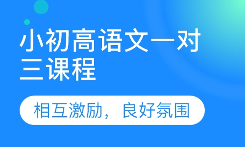 小初高语文一对三课程