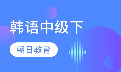 韩语中级下