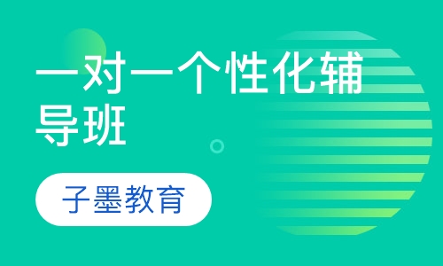 一对一个性化辅导班