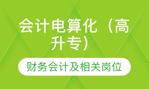 会计电算化（高升专）
