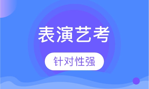 表演艺考 一对一