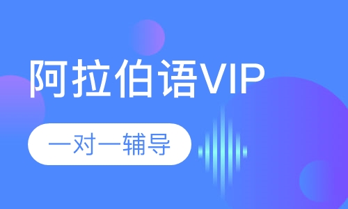 阿拉伯语VIP培训