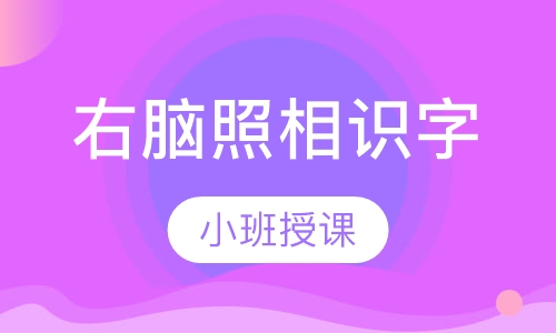 右脑照相识字
