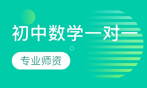 初中数学一对一