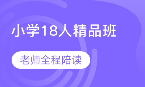 小学各科18人精品班