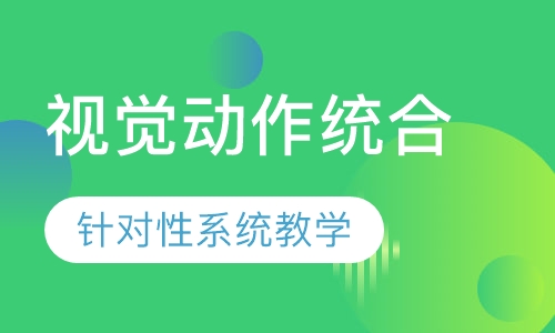 视觉动作统合课程