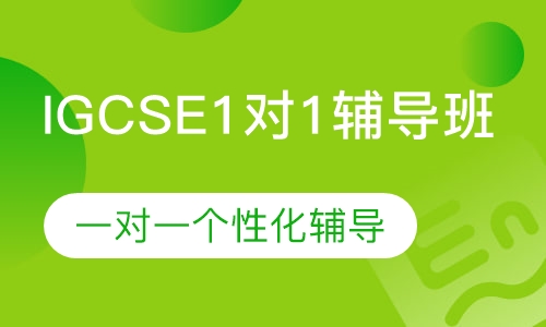 IGCSE1对1辅导班