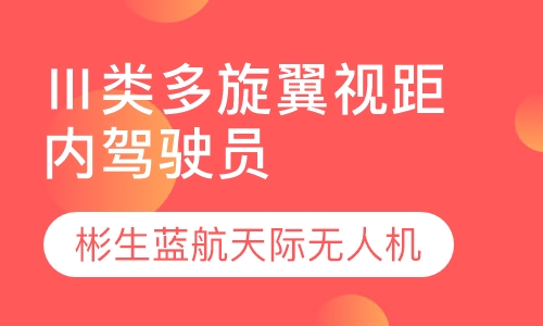 Ⅲ类多旋翼视距内驾驶员