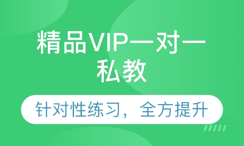精品VIP一对一私教