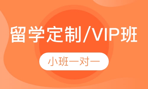 留学定制/VIP班