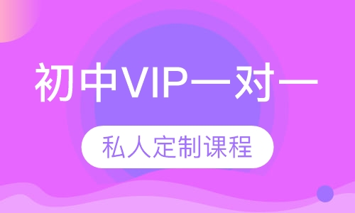初中VIP（一对一）