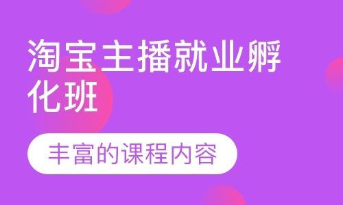 淘宝主播就业孵化班