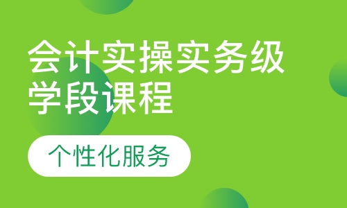 会计实操实务级学段课程