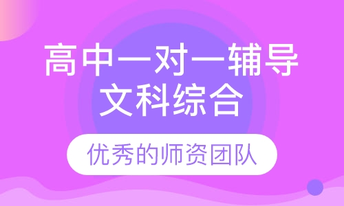 高中一对一辅导文科综合
