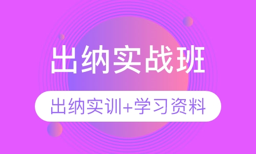 出纳实战班