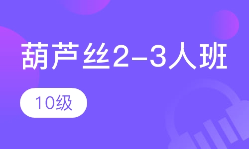 葫芦丝2-3人班 10级