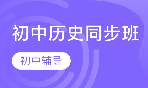 初中历史同步班