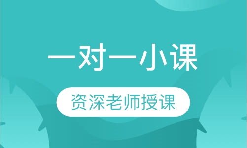 一对一小课