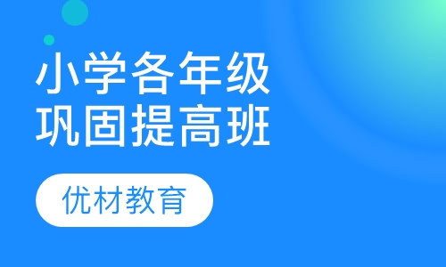 小学各年级巩固提高班