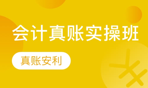 会计真账实操班