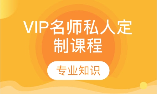 VIP名师私人定制课程