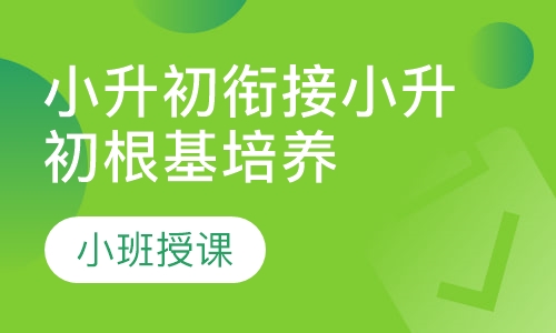 小升初衔接小升初根基培养