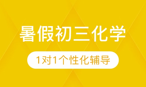 暑假初三化学