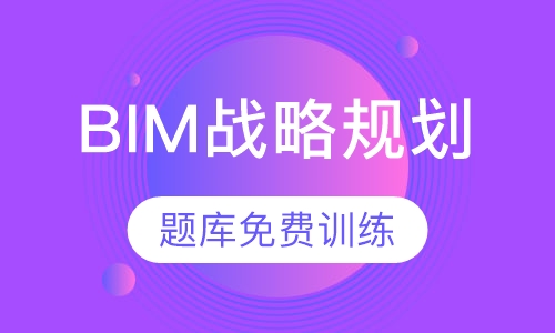 BIM战略规划 （理论取证班）