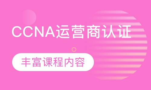 录播课+直播课CCNA运营商认证